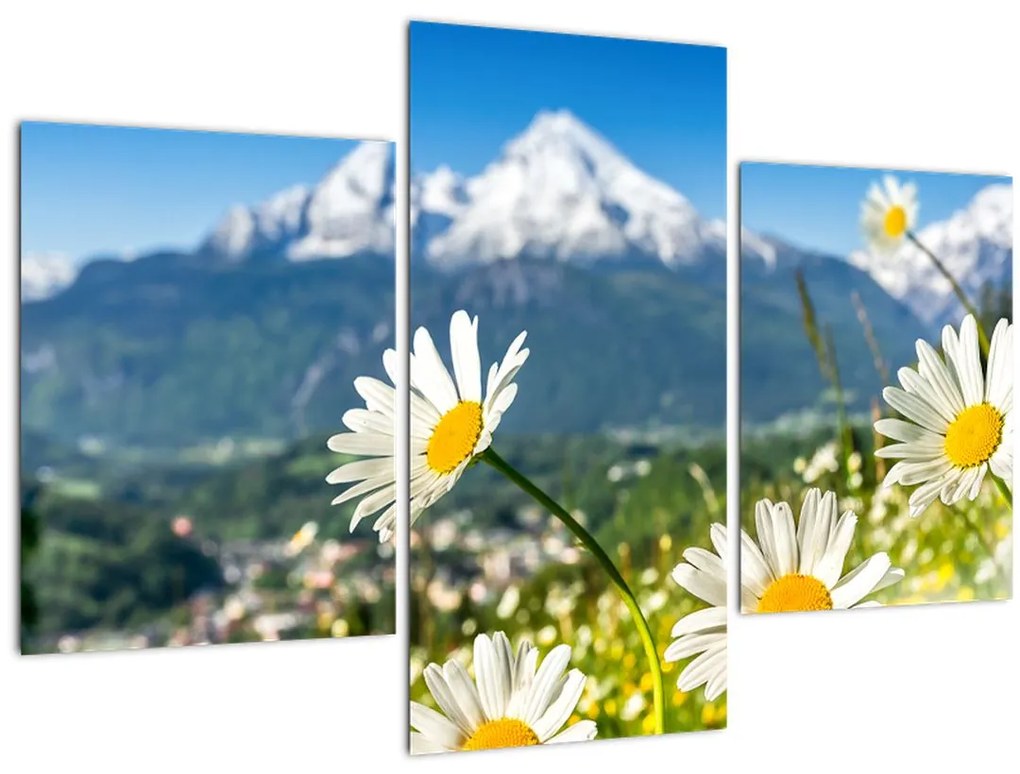 Tablou - Primăvara în Alpi (90x60 cm)