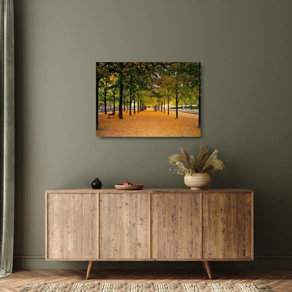 Tablou pe sticlă cu alee cu copaci în toamnă (70x50 cm)
