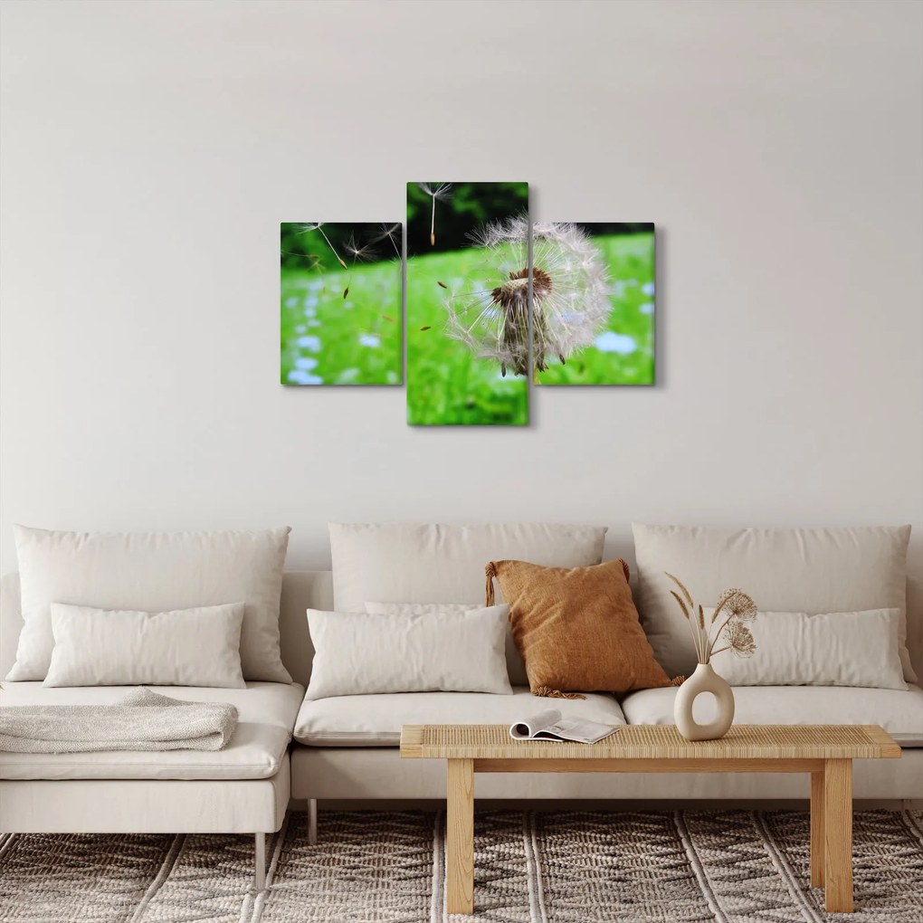 Tablou cu păpădie (90x60 cm)