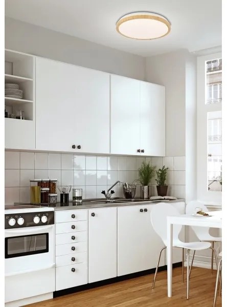 Plafonieră LED GANDAVA LED/24W/230V