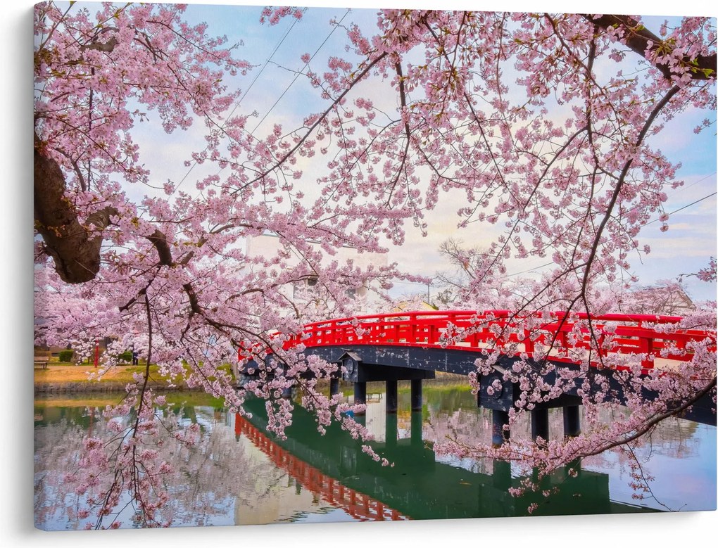 Tablou - Hirosaki, Japonia (70x50 cm)