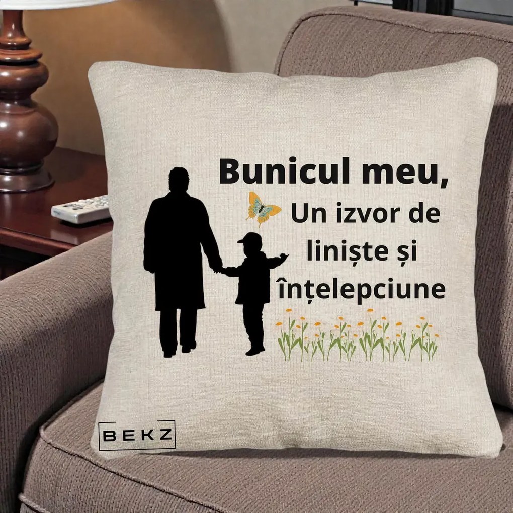Cadou pentru Bunic - Perna Personalizata Bunicul Meu Izvor de Liniste cu Fluture si Baietel, 40x40 cm, Bej Canapea, Husa Detasabila, Perna Inclusa, BEKZ®