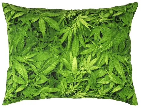Faţă de pernă 4Home Aromatica, 70 x 80 cm