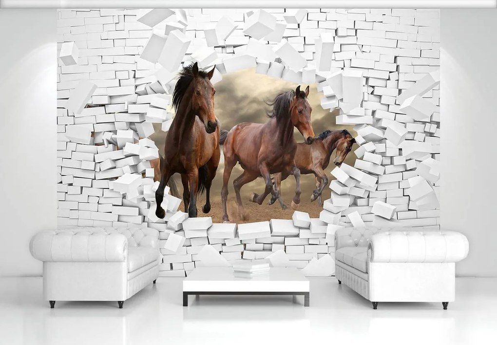 Fototapet - 3D cai în perete (254x184 cm)
