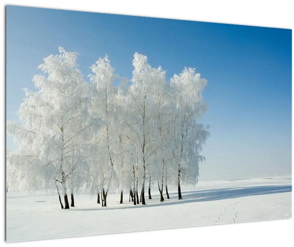 Tablou - Peisaj înzăpezit (90x60 cm)