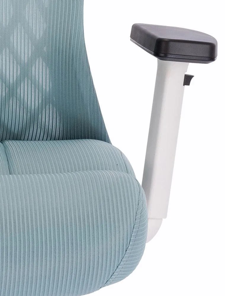 Scaun rotativ ergonomic de birou Ergomax, patină