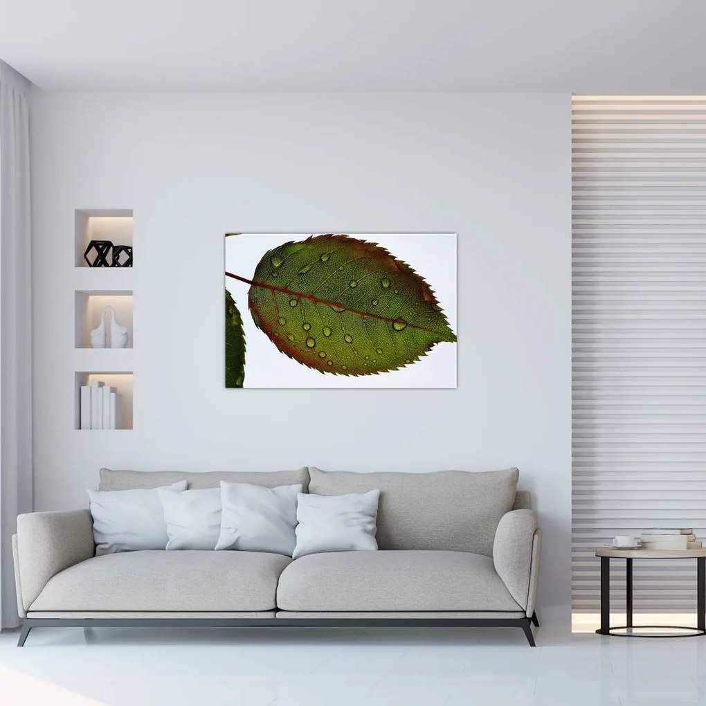 Tablou - Frunze de trandafir (90x60 cm)