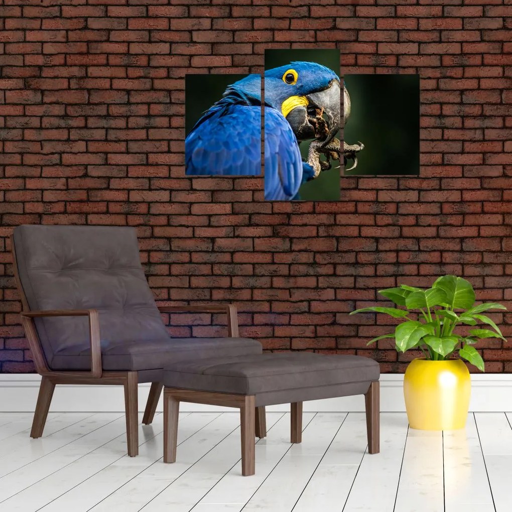 Tablou cu papagal (90x60 cm)