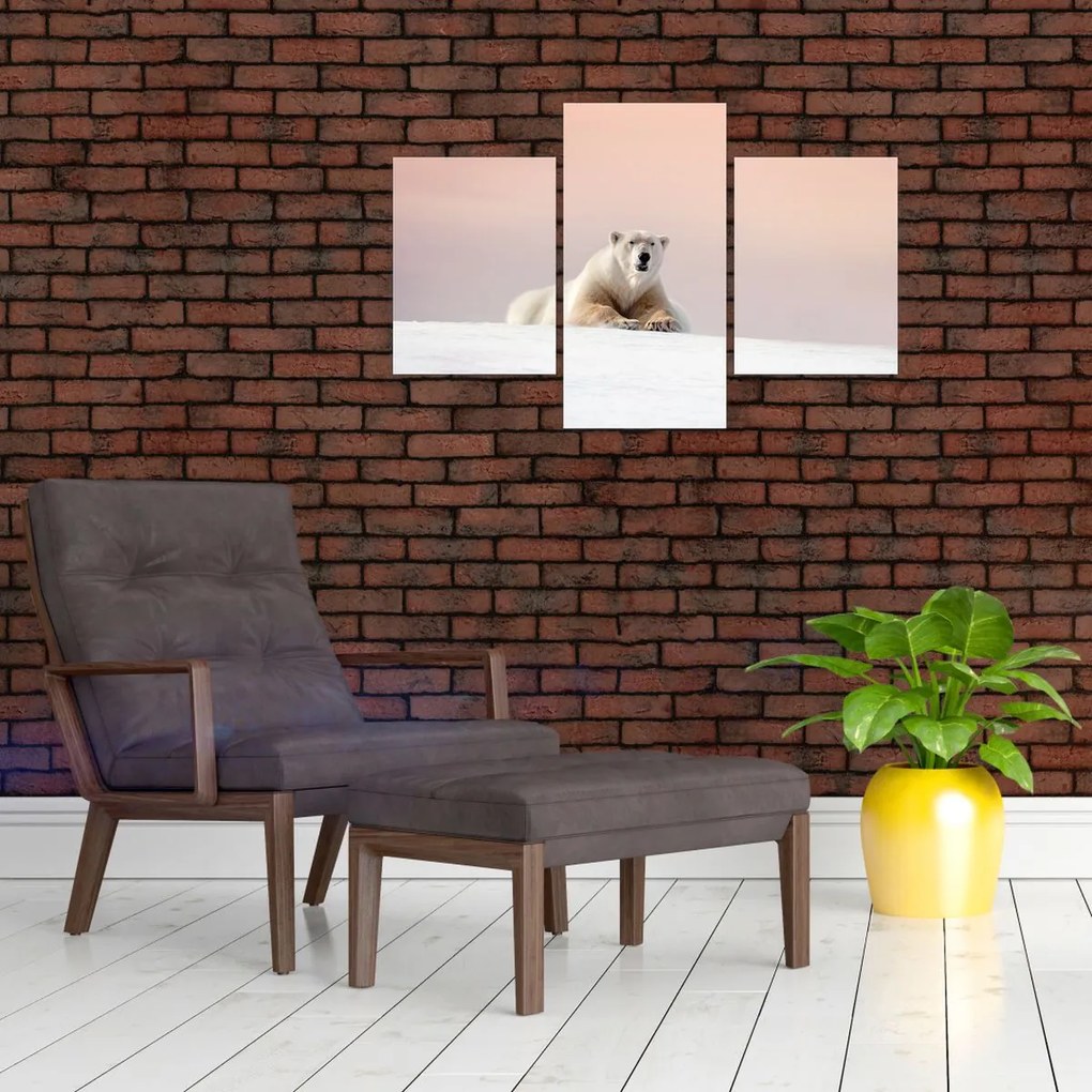 Tablou - Urs polar (90x60 cm)