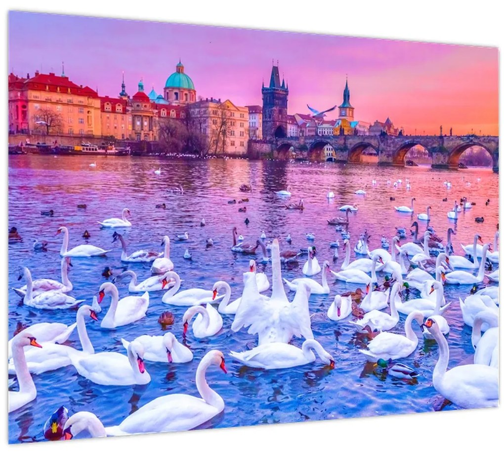 Tablou - Praga (70x50 cm)