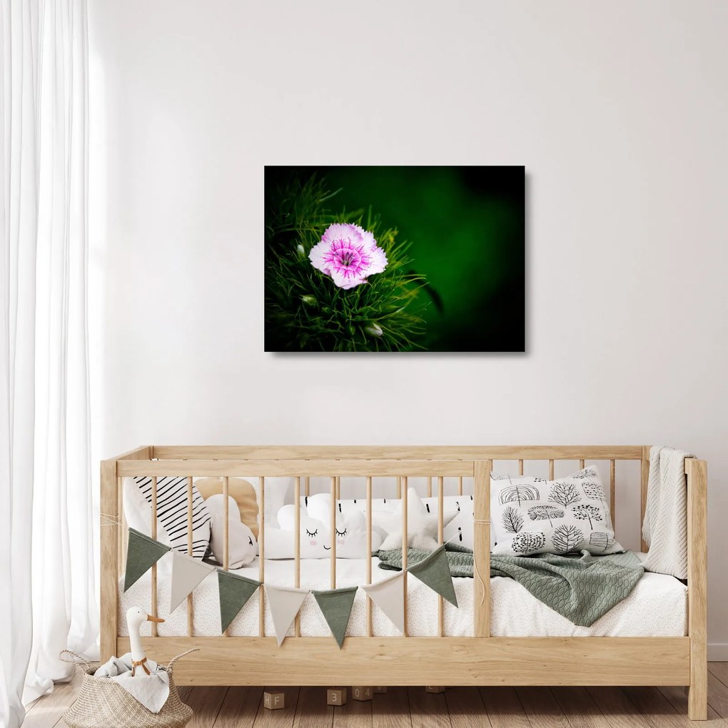 Tablou pe sticlă cu floare roz (70x50 cm)