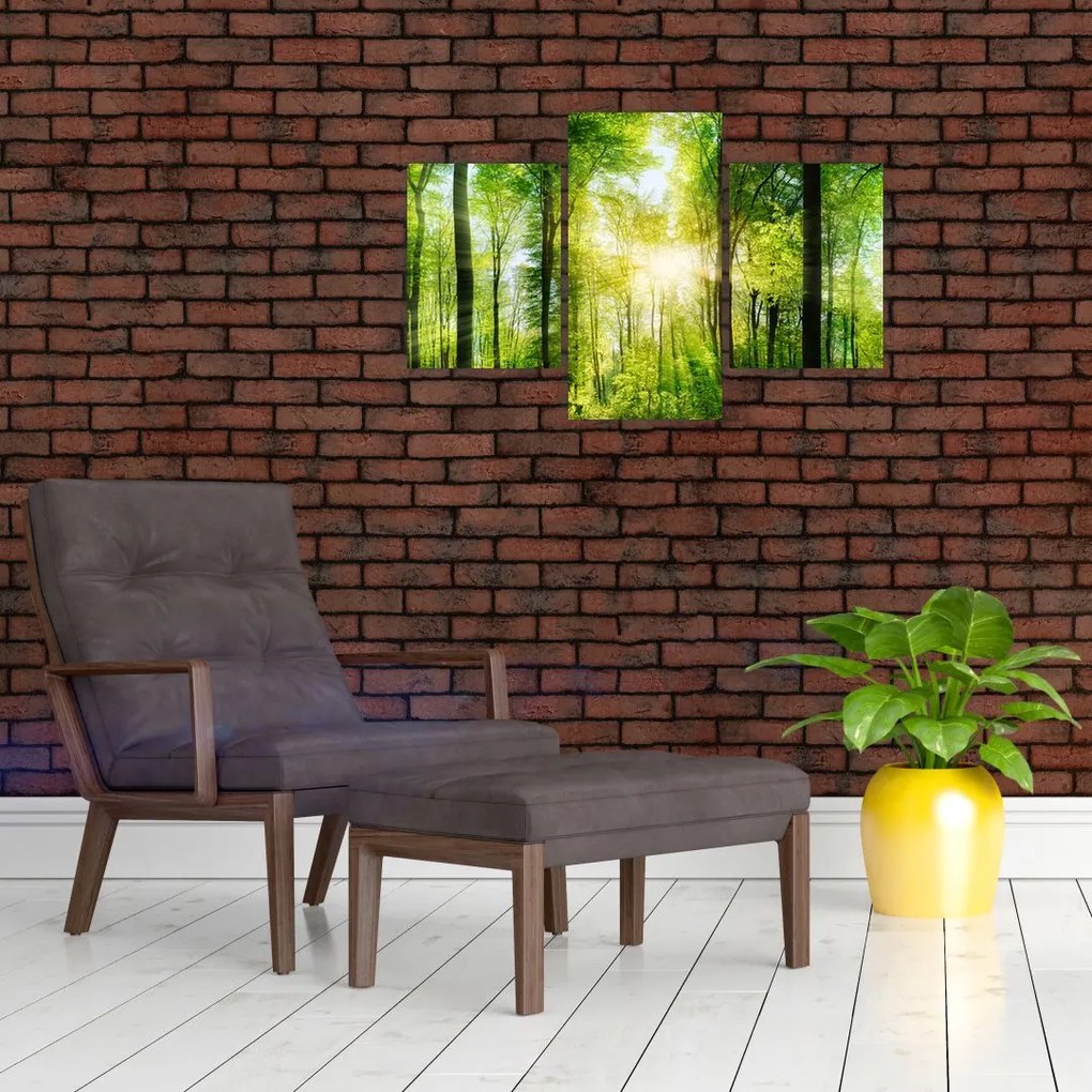 Tablou - Răsărit în pădure (90x60 cm)