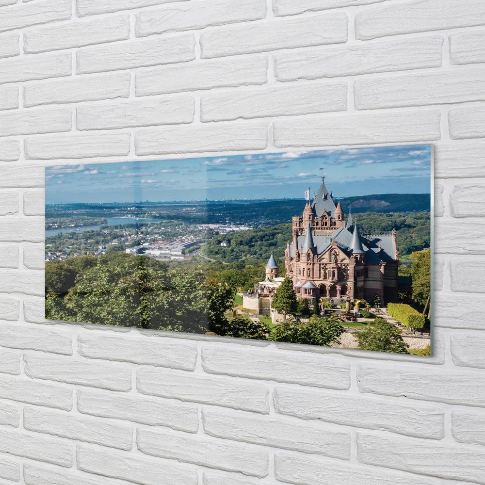 Panouri de sticlă Germania Panorama a castelului orașului