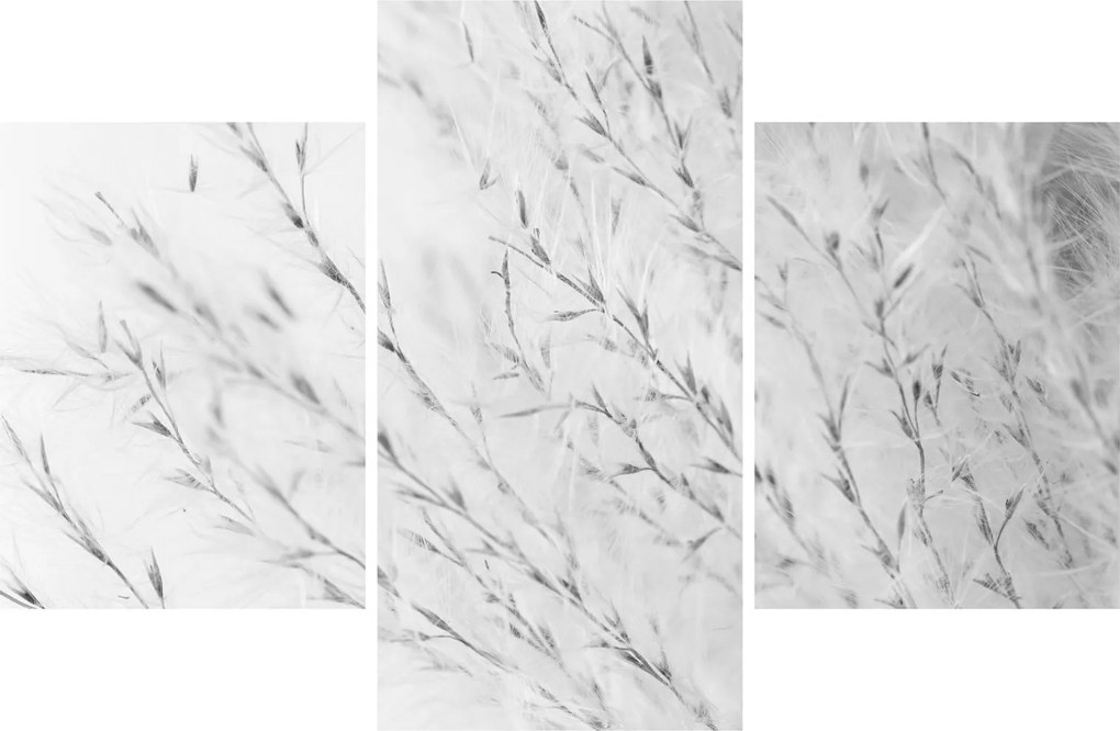 Tablou - Iarbă de pampas N⁰2 (90x60 cm)