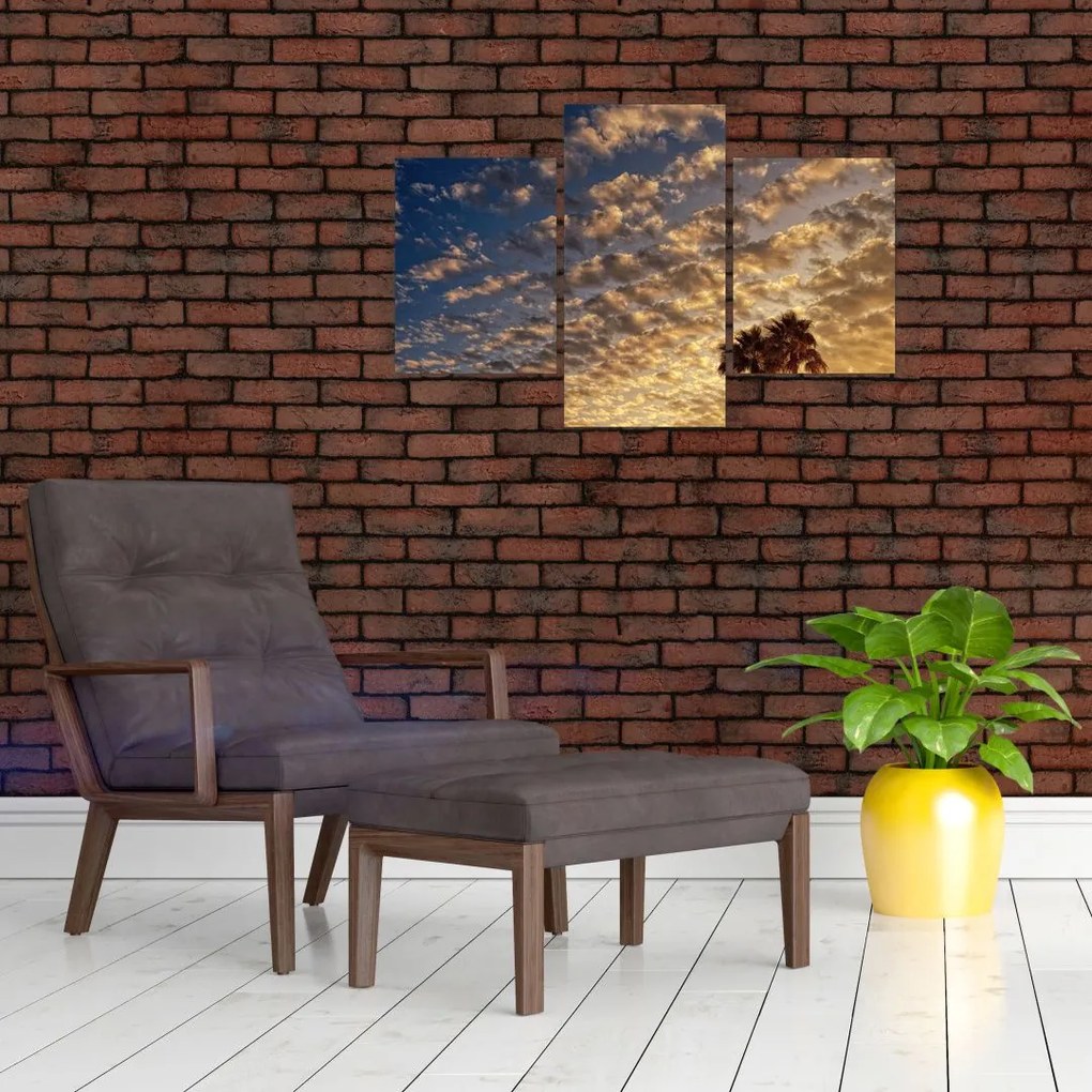 Tablou - Palmieri între nori (90x60 cm)