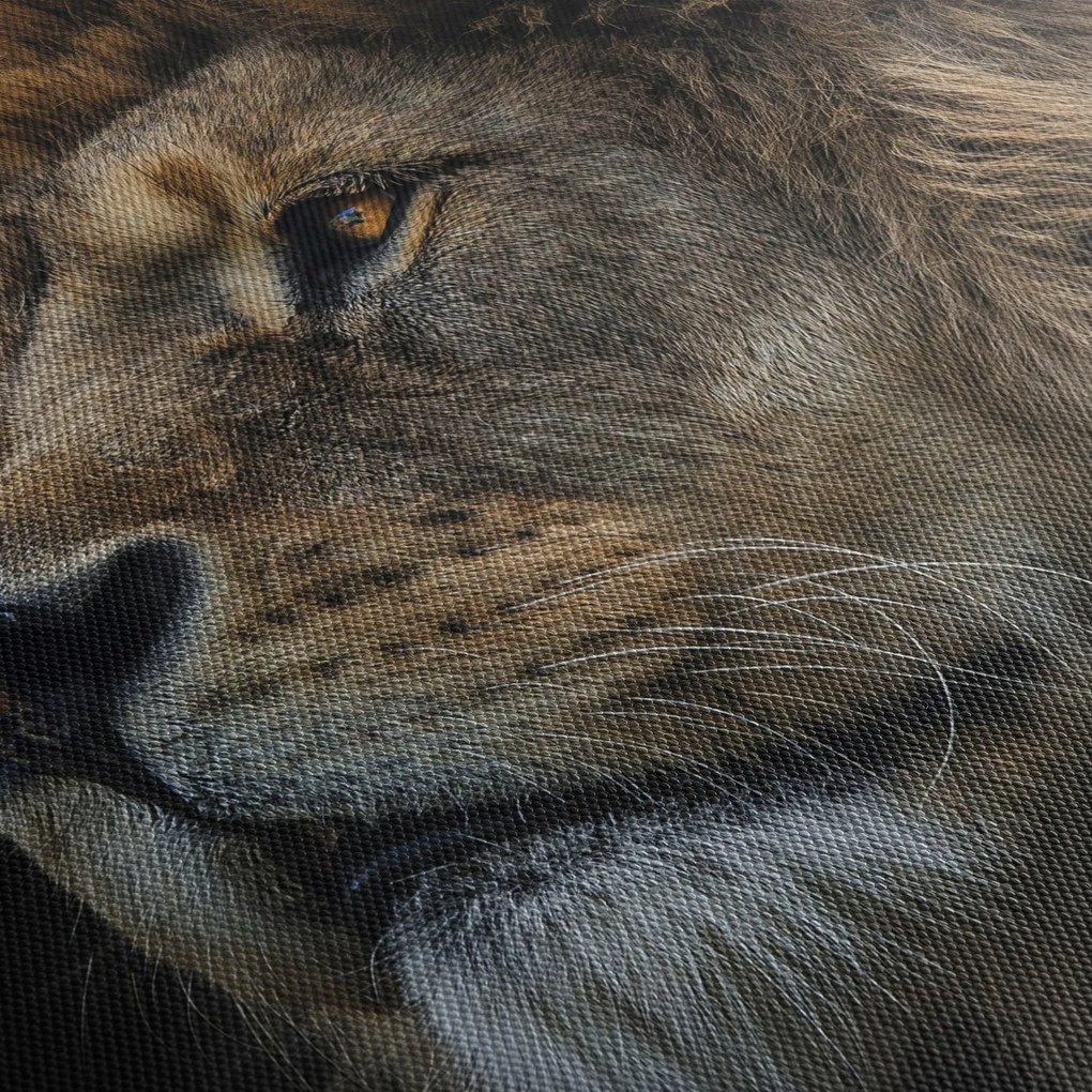 Tablou - Leul maiestuos (120x50 cm)