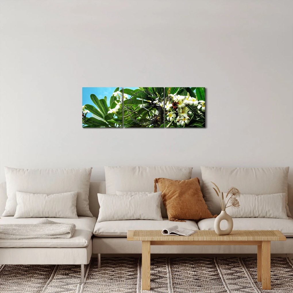 Tablou - Plumeria (cu ceas) (90x30 cm)