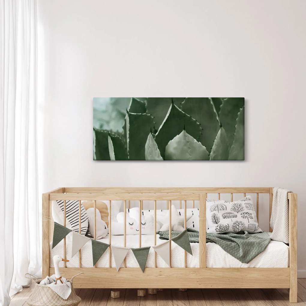 Tablou - Agave verde (120x50 cm)