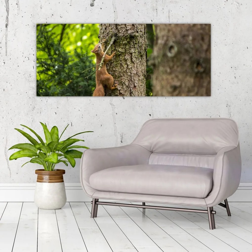 Tablou - Veverița (120x50 cm)
