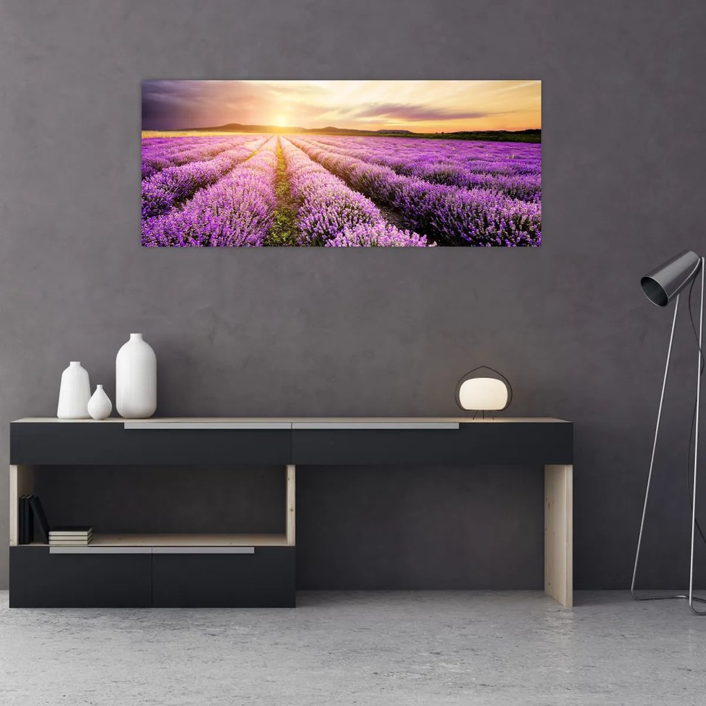 Tablou - Răsărit de soare în câmp de lavandă (120x50 cm)