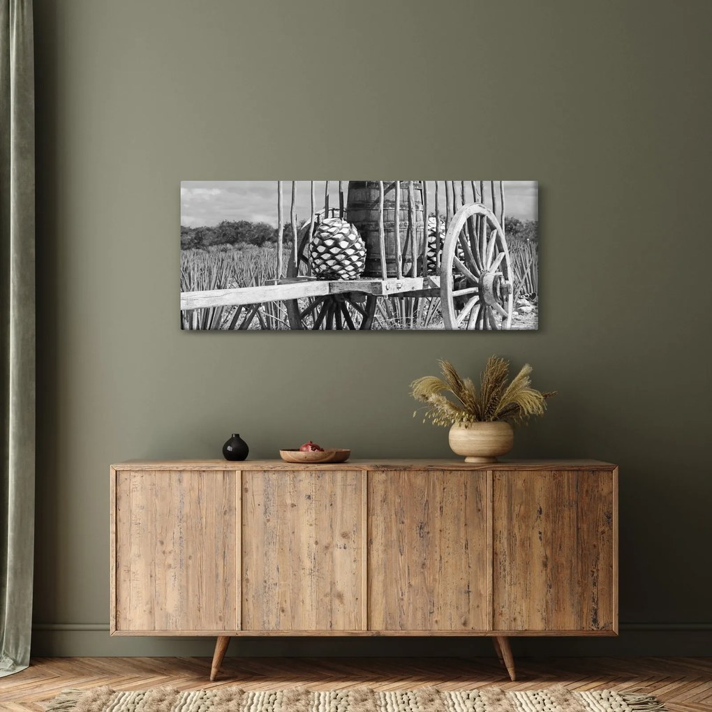 Tablou - Remorcă,alb-negru (120x50 cm)
