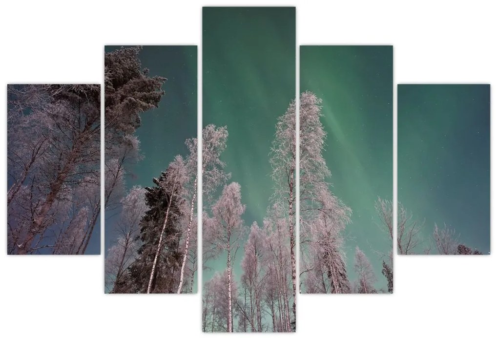 Tablou cu aurora borealis deasupra pomilor înghețați (150x105 cm)