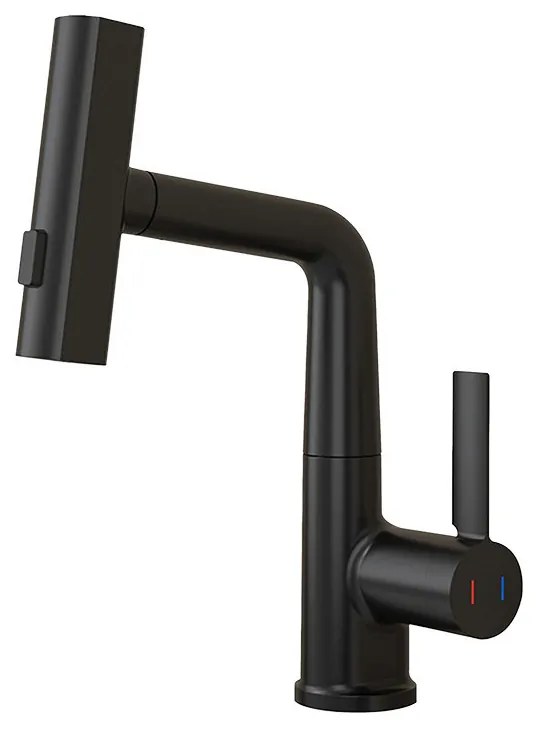 Robinet mixer pentru chiuvetă Mara cu cap multifuncțional negru
