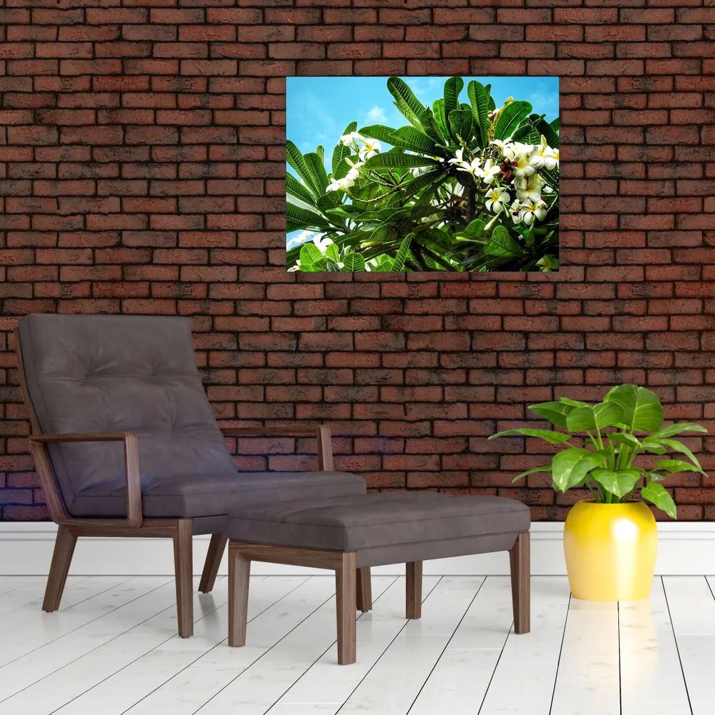 Tablou pe sticlă - Plumeria (70x50 cm)