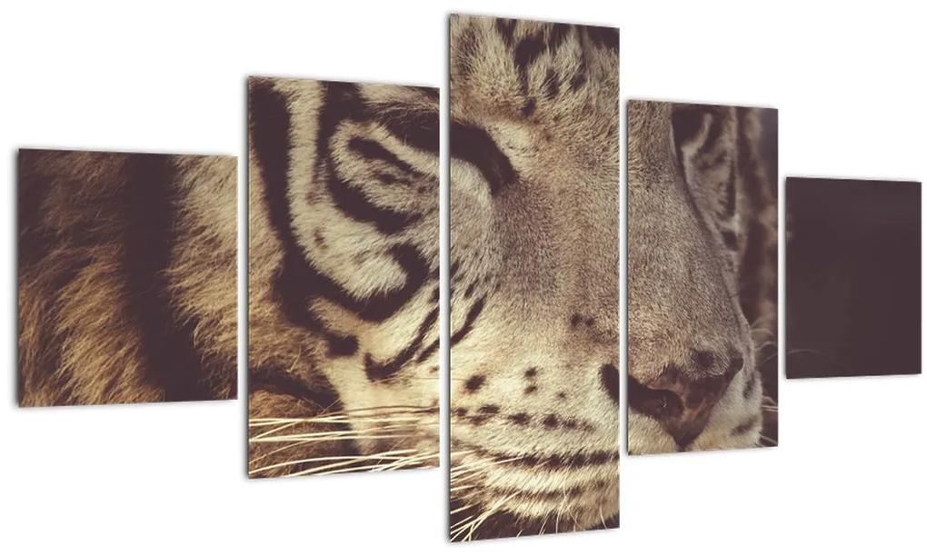Tablou cu tigrul (125x70 cm), în 40 de alte dimensiuni noi