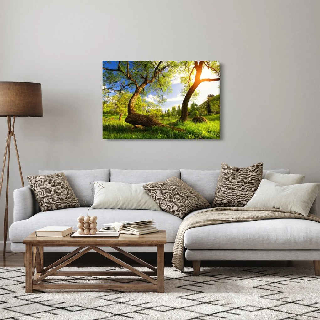 Tablou lunca ne primăvară (90x60 cm)
