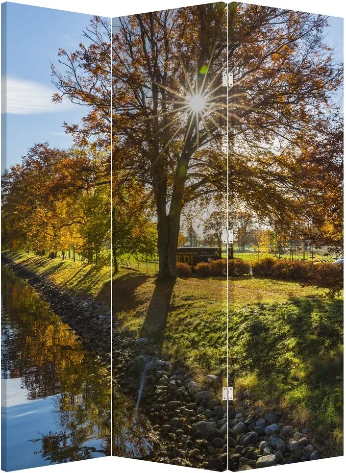 Paravan - Canal de apă (126x170 cm)