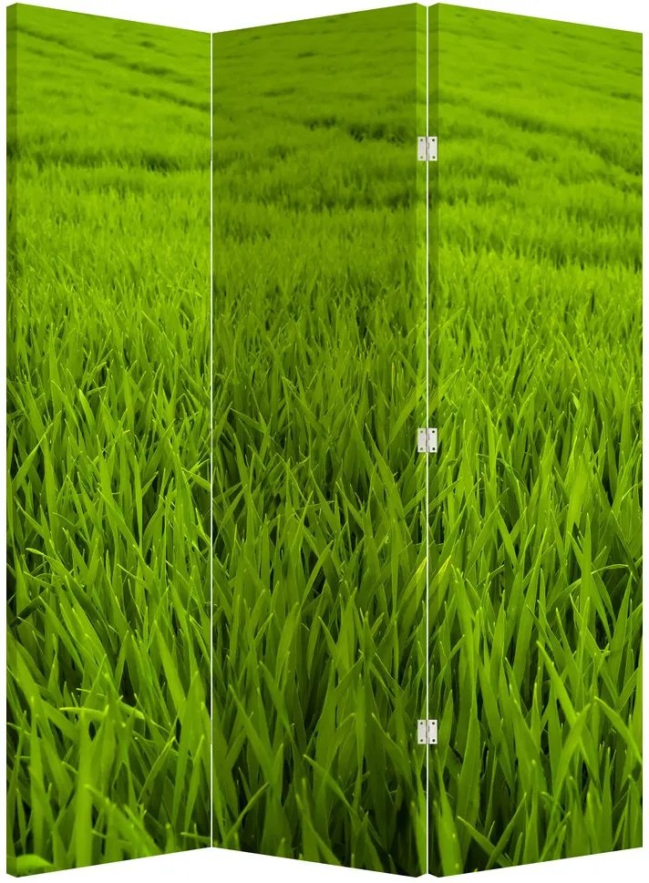 Paravan - Iaraba (126x170 cm)