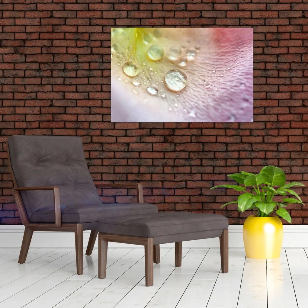 Tablou - Picături (90x60 cm)
