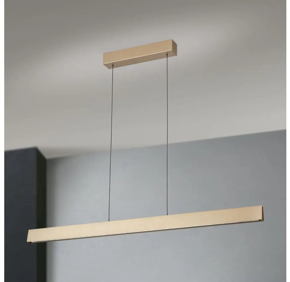 Lustră LED dimabilă pe cablu Orion HL 6-1716/120 TARA LED/44W/230V auriu