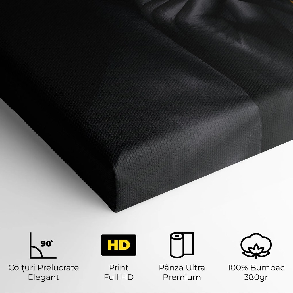 Tablou Canvas, 50x100cm, Dormitor si Living, Femei, Lips, Silence Lips Portrait