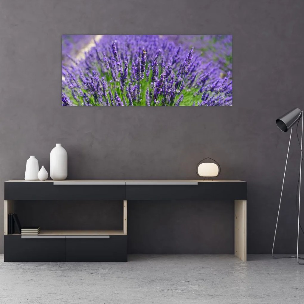 Tablou - lavanda (120x50 cm)