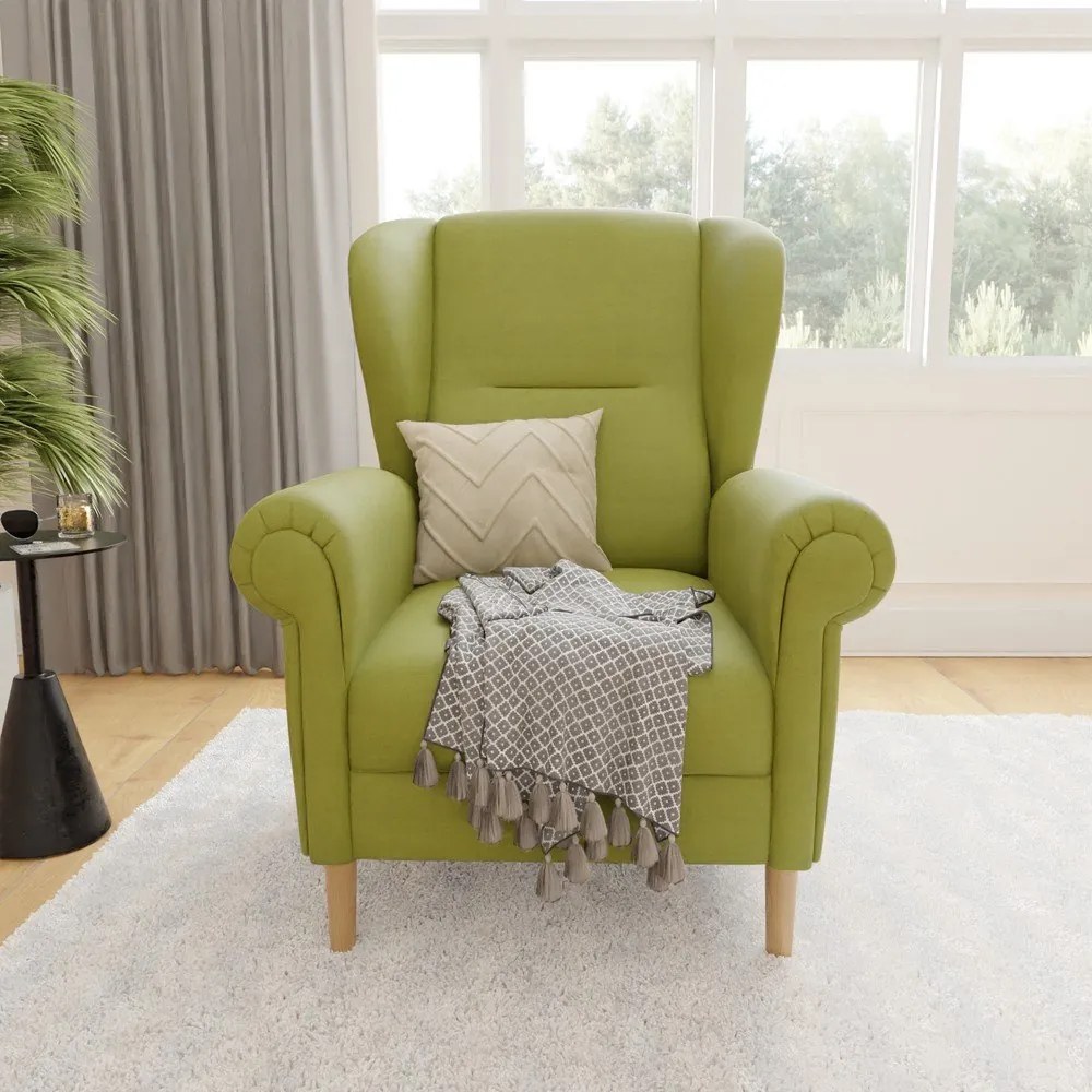 Fotoliu verde wing Swan – Ropez