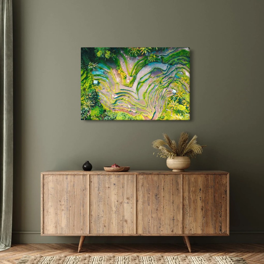 Tablou cu lanuri de orez din privire de sus (90x60 cm)