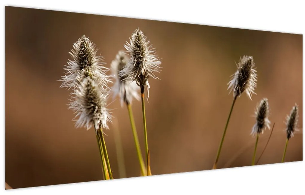 Tablou - Iarbă (120x50 cm)