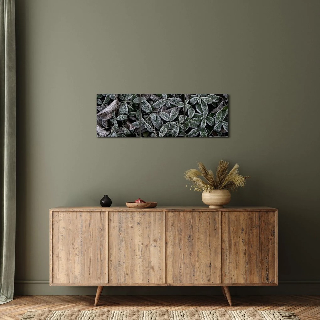 Tablou - Plante înghețate (cu ceas) (90x30 cm)