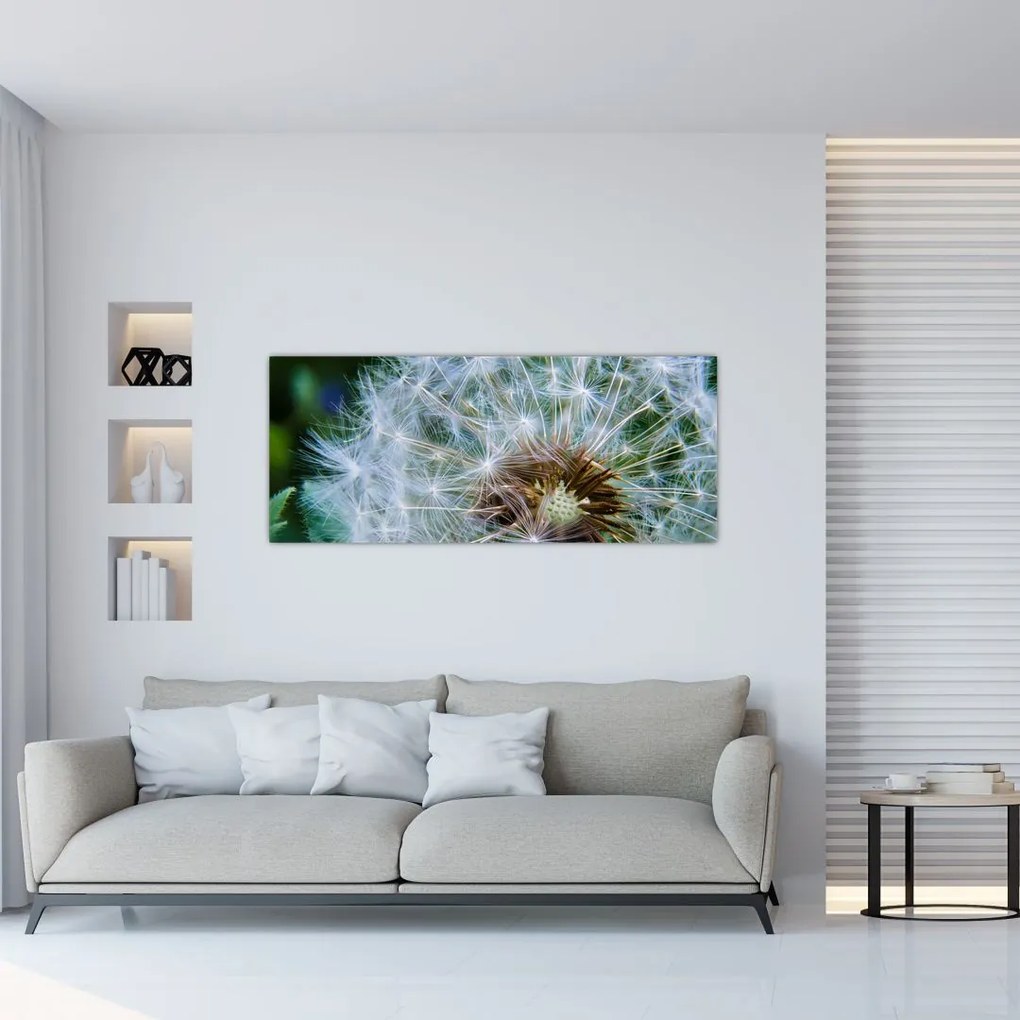 Tabloul cu păpădie desflorit (120x50 cm)