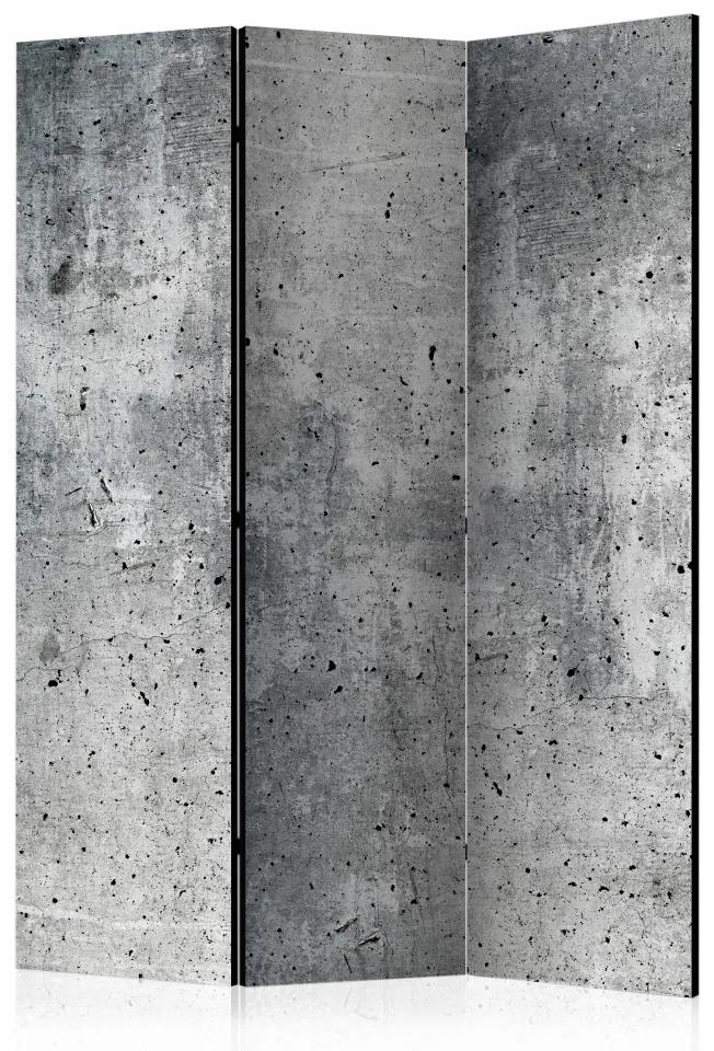 Paravan - Fresh Concrete [Room Dividers]