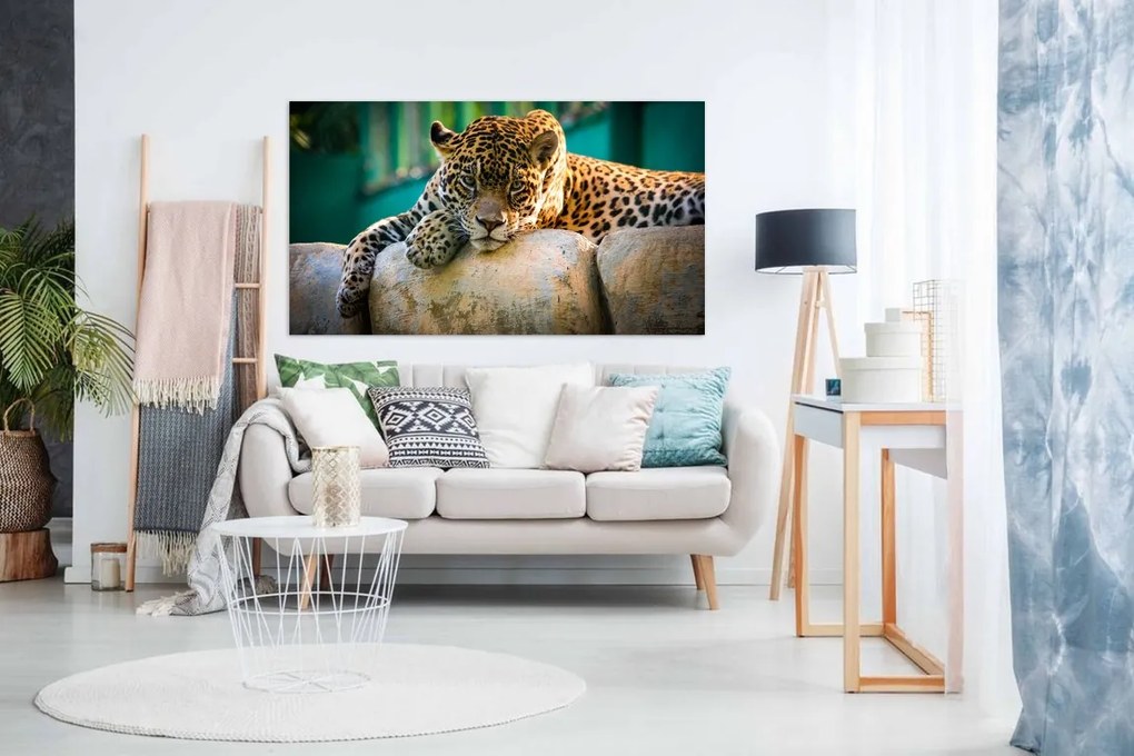 Tablou canvas Jaguarul - 80x50cm