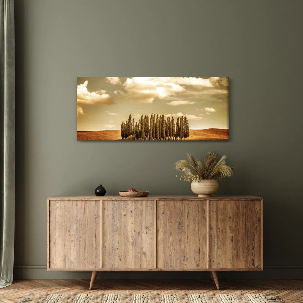 Tablou cu luncă (120x50 cm)