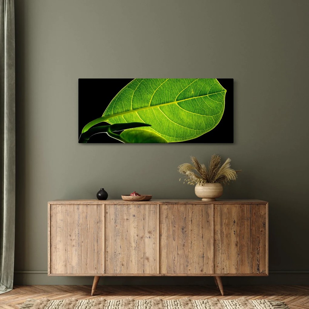 Tablou - frunză verde (120x50 cm)