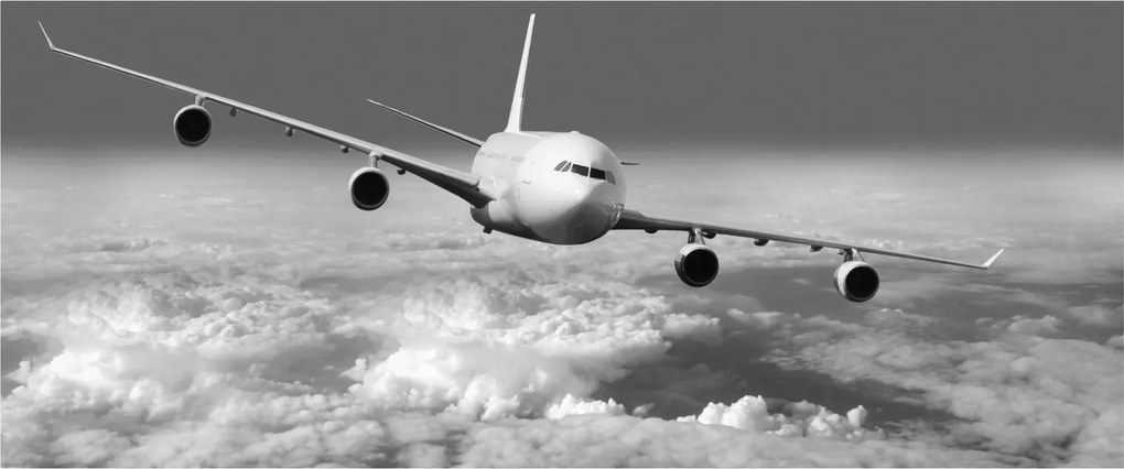 Tablou - Avion în nori, alb și negru (120x50 cm)