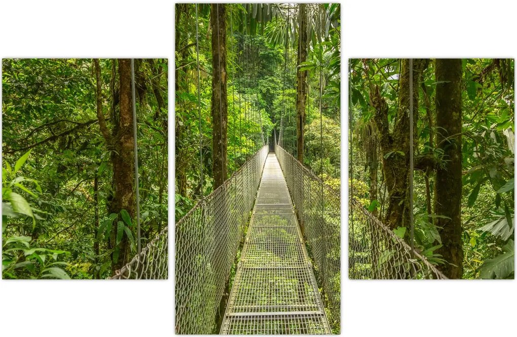 Tablou - Pod suspendat (90x60 cm)