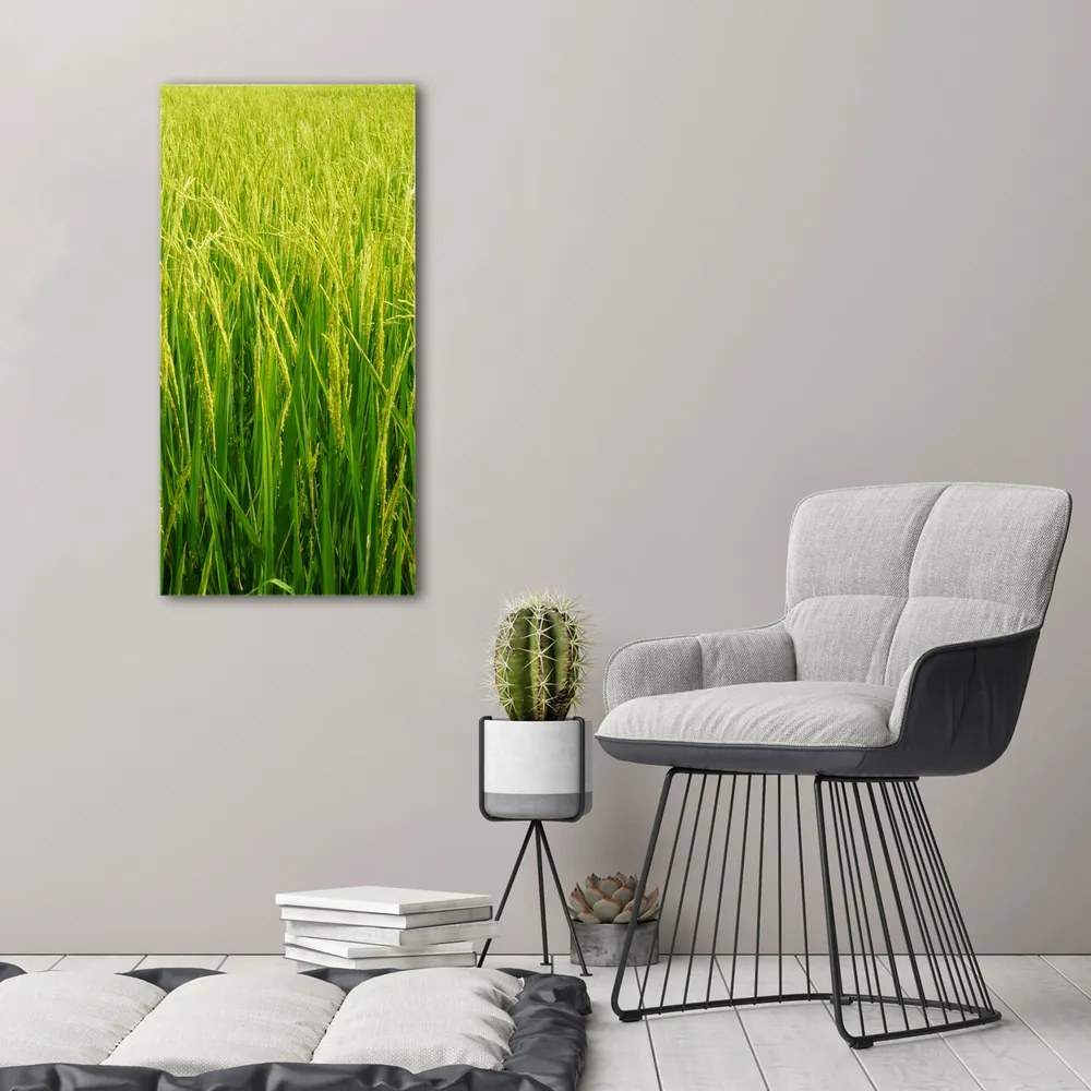 Tablou canvas Orezarie