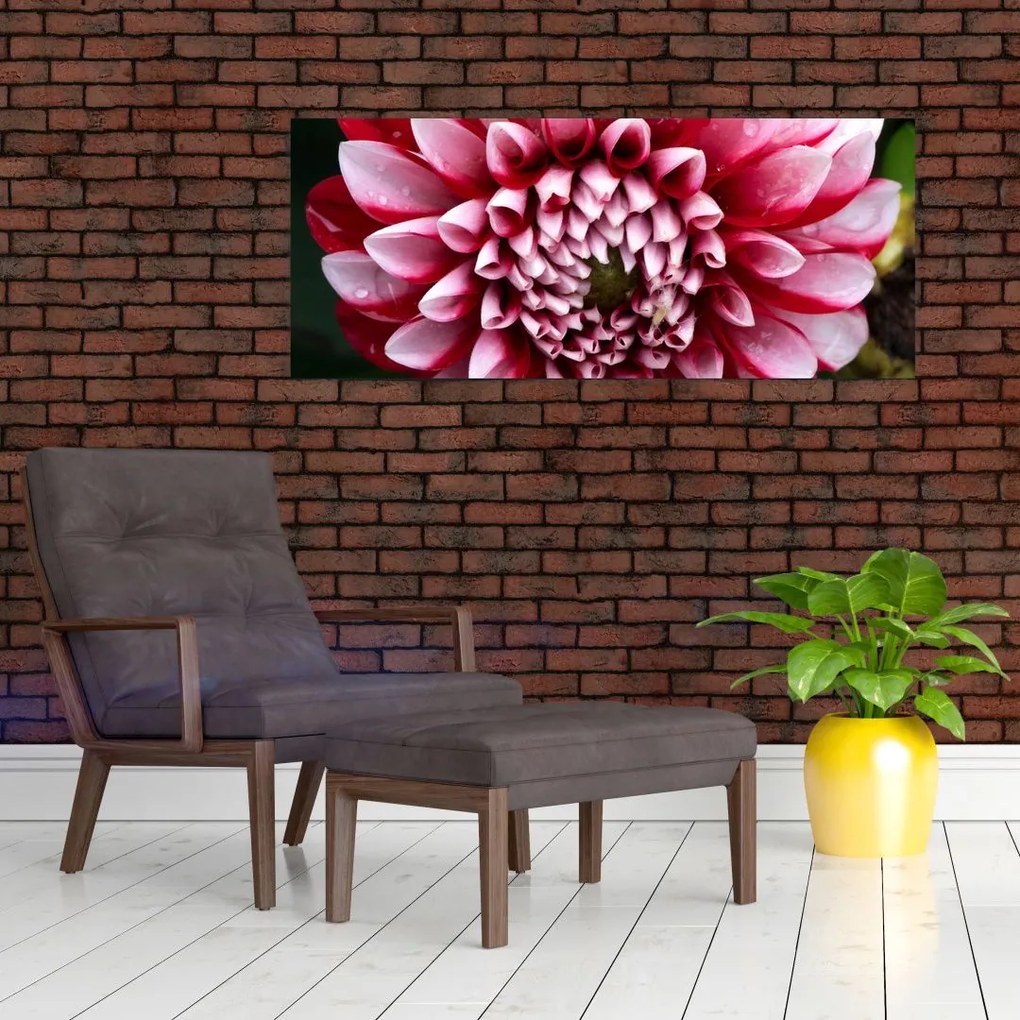 Tablou cu dalie roz (120x50 cm)