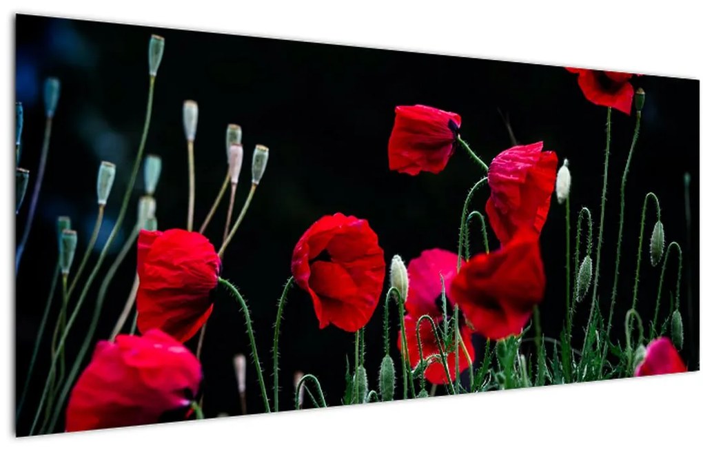 Tablou - Dansul macilor (120x50 cm)